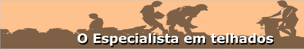 O Especialista em Telhados